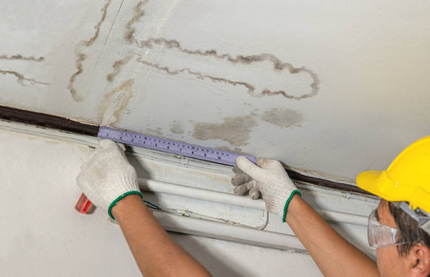 Reliable Sewage Cleanup contractor in Bangor, MI by Water Damage Irwin
